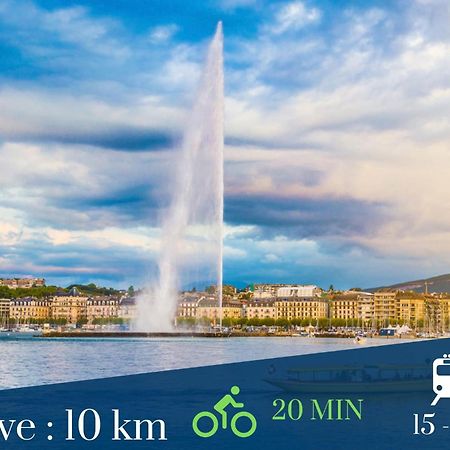 Homey Wild - Proche Gare Et Tram - Proche Centre - Balcon Prive - Parking Prive - Wifi Gratuit Annemasse Buitenkant foto