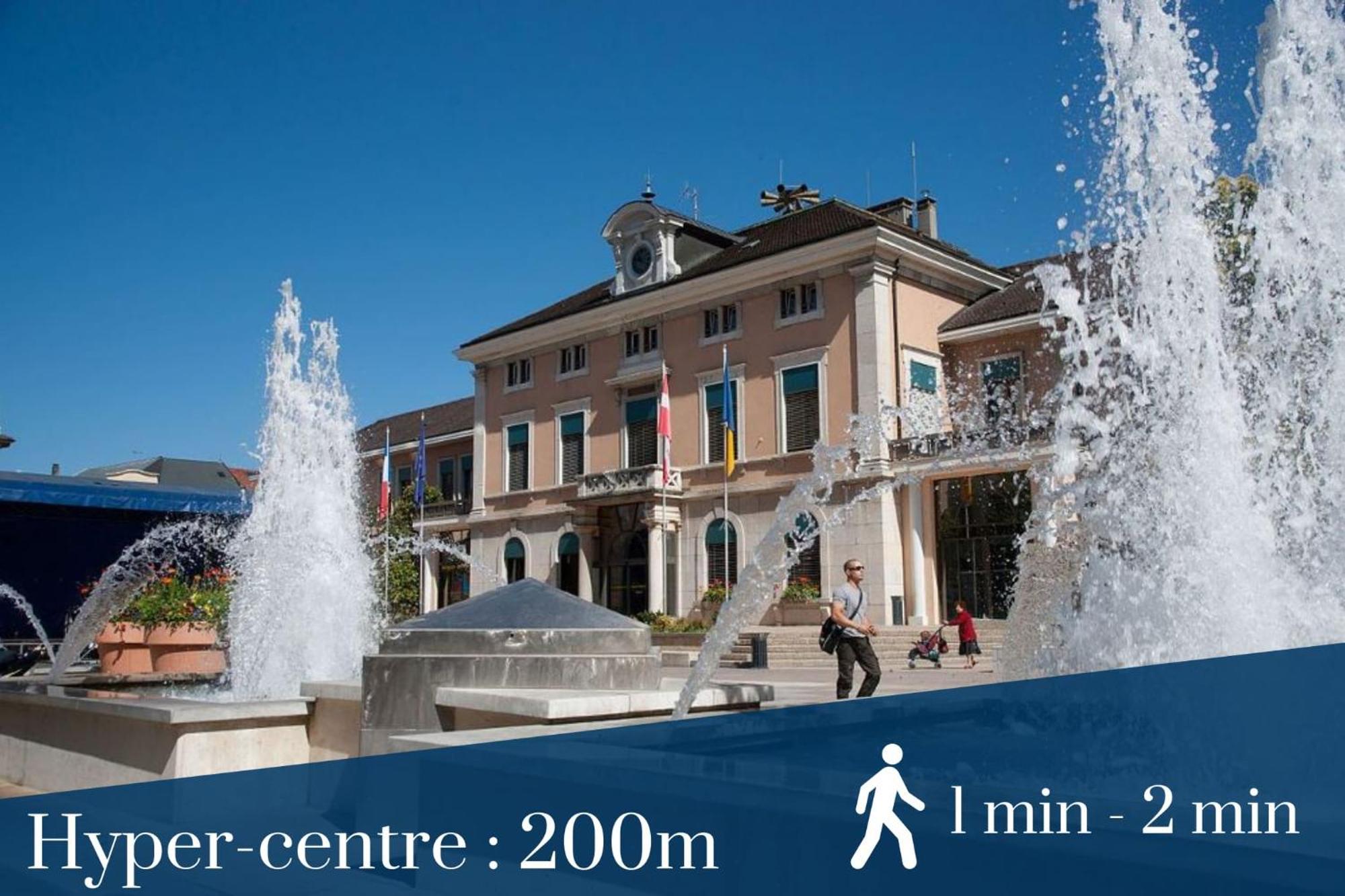 Homey Wild - Proche Gare Et Tram - Proche Centre - Balcon Prive - Parking Prive - Wifi Gratuit Annemasse Buitenkant foto
