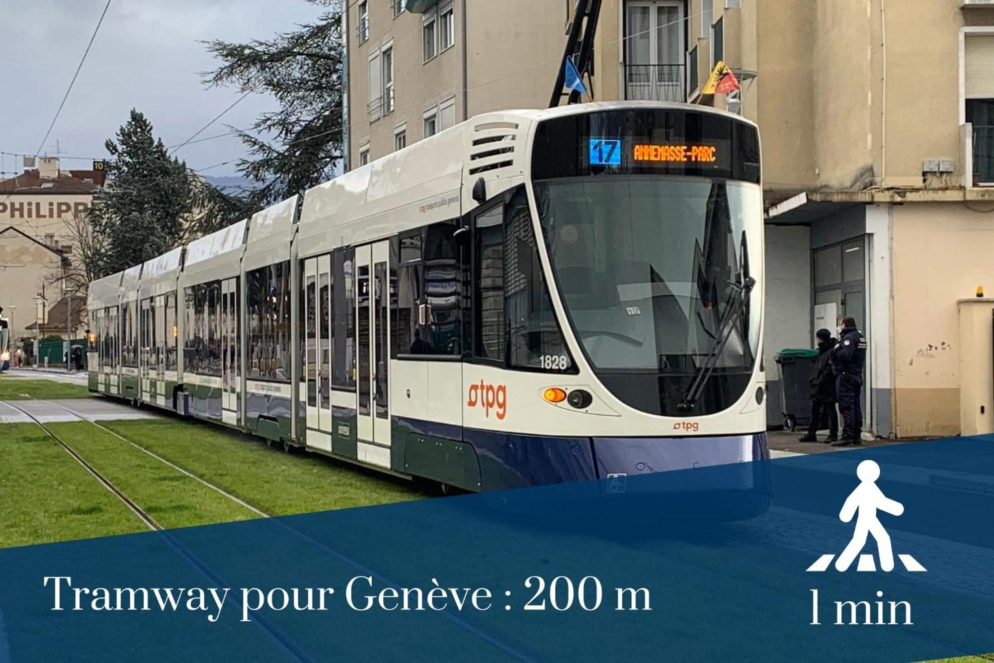 Homey Wild - Proche Gare Et Tram - Proche Centre - Balcon Prive - Parking Prive - Wifi Gratuit Annemasse Buitenkant foto
